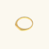 Sasha Geometric Ring